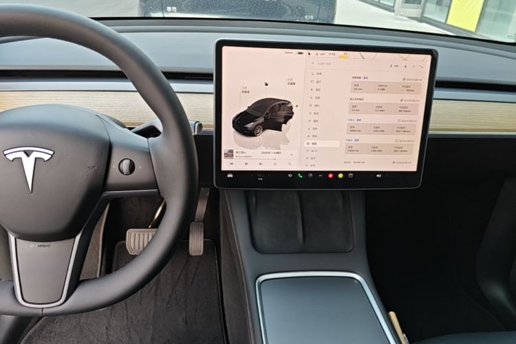 Tesla Model Y 2022 immagine di auto #17