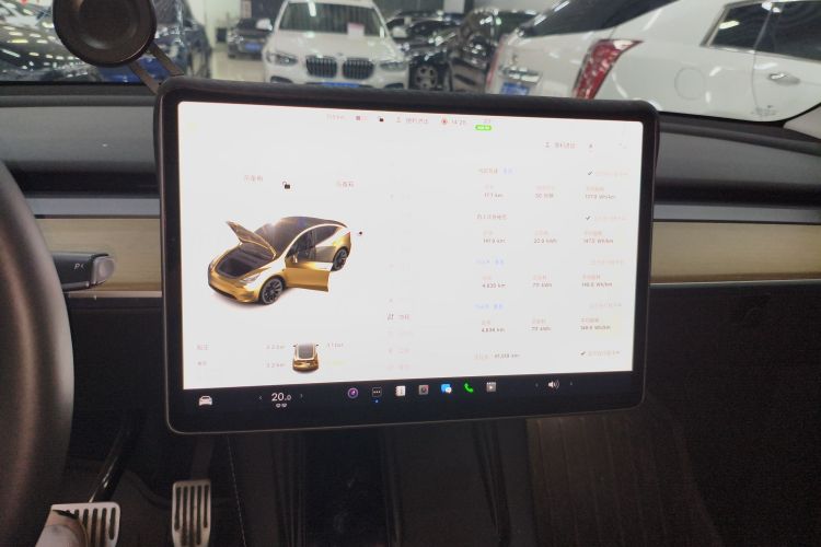 Tesla Model Y 2023 #13 Tesla Model Y 2023 car image #13