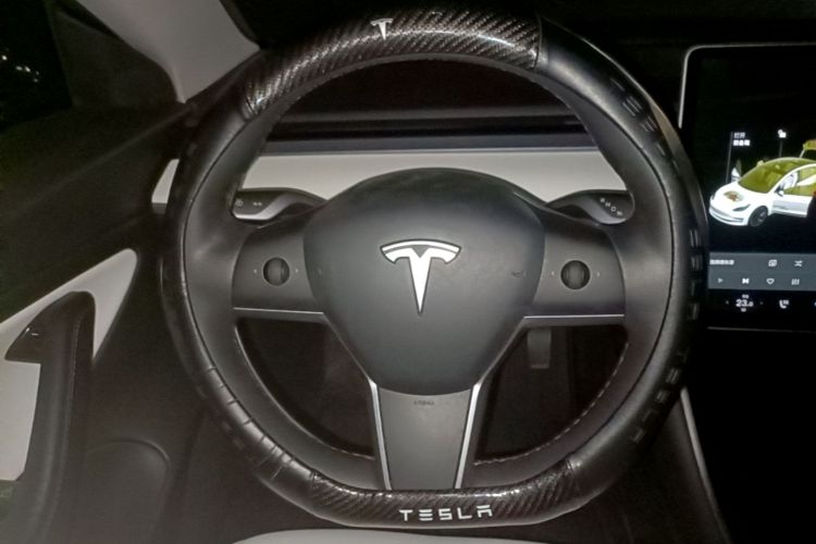 Tesla Model 3 2020 #15 Tesla Model 3 2020 صورة سيارة #15