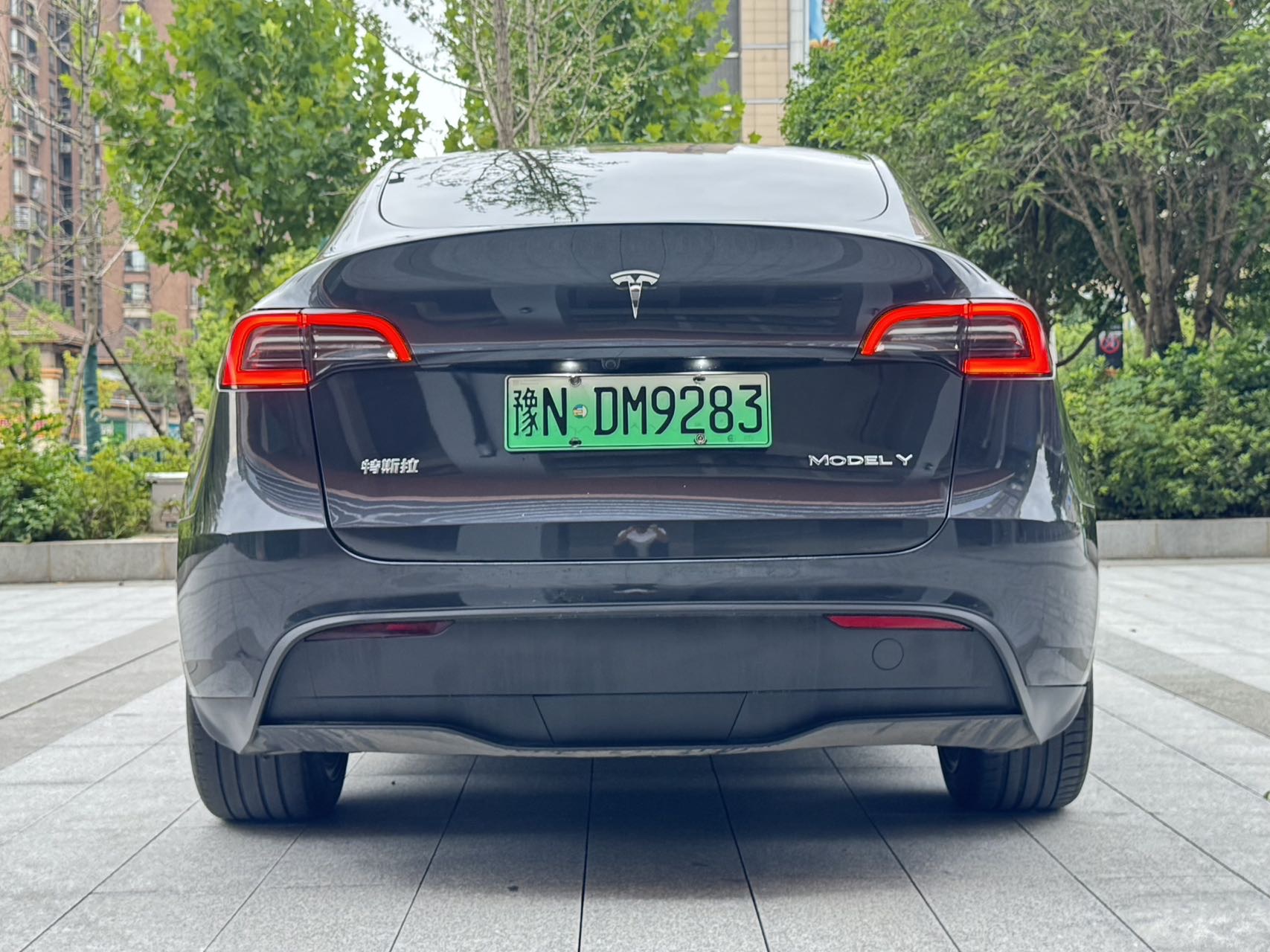Tesla Model Y 2024 #5 Tesla Model Y 2024 car image #5