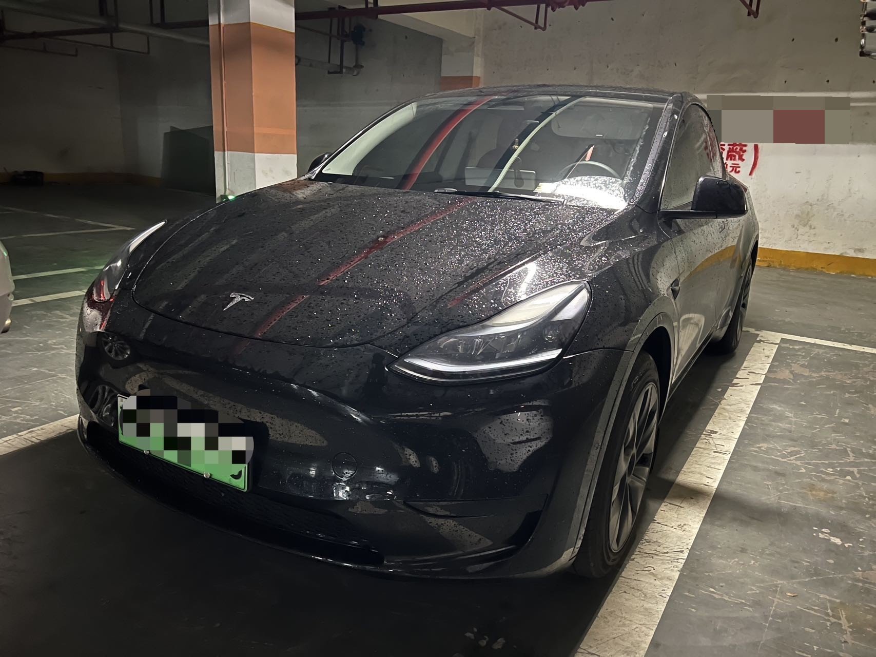 Tesla Model Y 2024 car image 