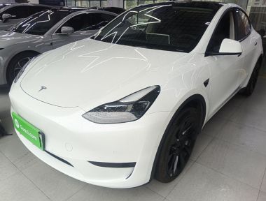 Tesla Model Y 2024 Tesla Model Y 2024 car image