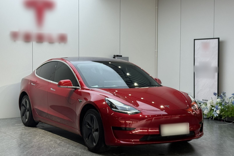 Tesla Model 3 2020 car image #4
