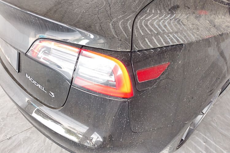 Tesla Model 3 2023 immagine di auto #8