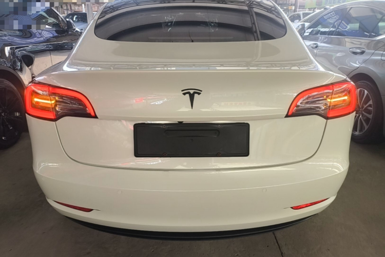 Tesla Model 3 2021 car image #6