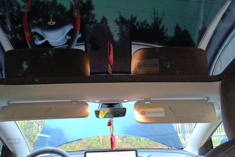 Tesla Model 3 2021 car image #20