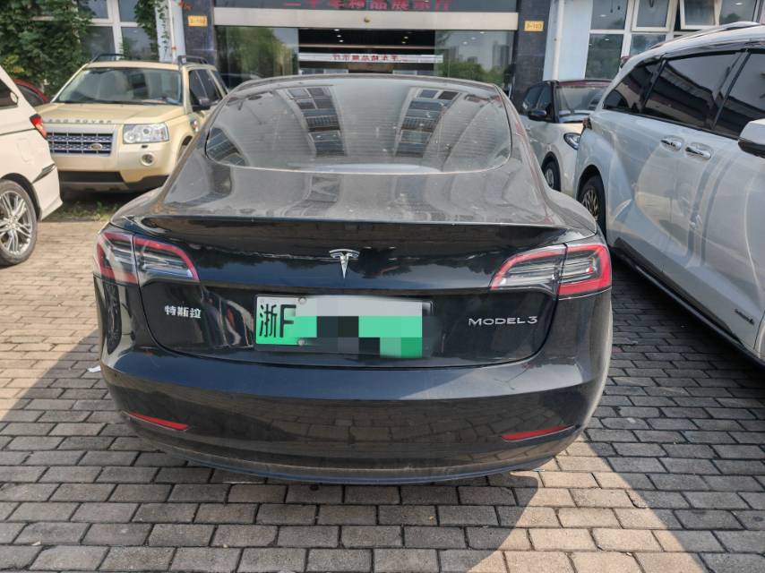 Tesla Model 3 2021 #3 Tesla Model 3 2021 car image #3