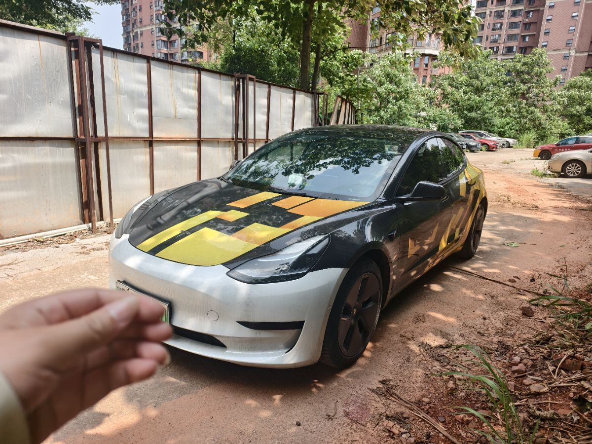 Tesla Model 3 2023 Tesla Model 3 2023 car image
