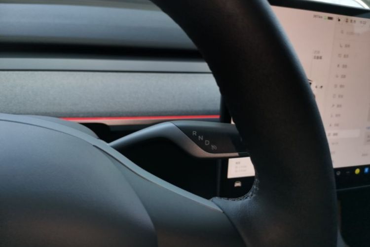 Tesla Model Y 2024 car image #21