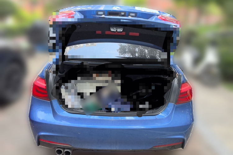 BMW 3 Series 2016 car image #21