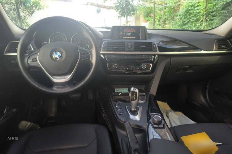 BMW 3 Series 2016 car image #11