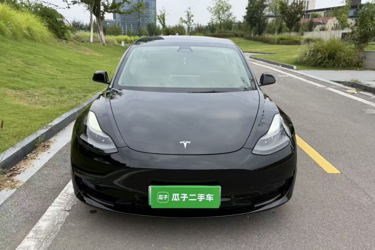 Tesla Model 3 2021 #3 Tesla Model 3 2021 car image #3