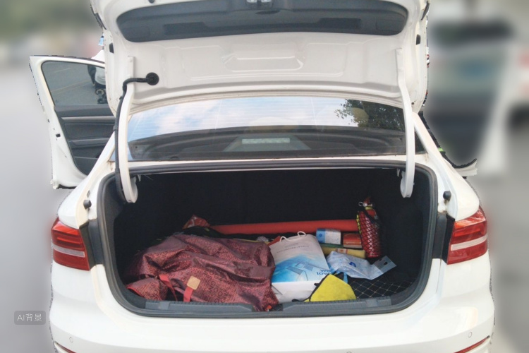 Volkswagen Lavida 2019 car image #21