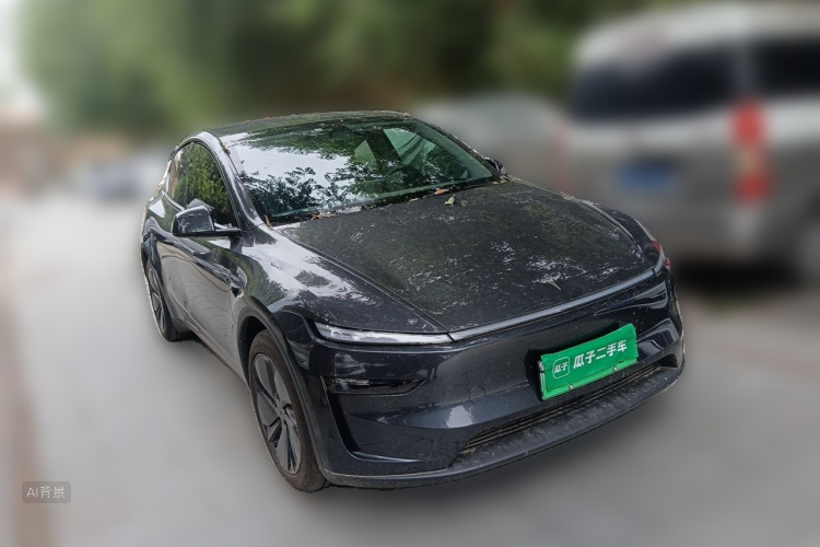 Tesla Model Y 2025 car image #4