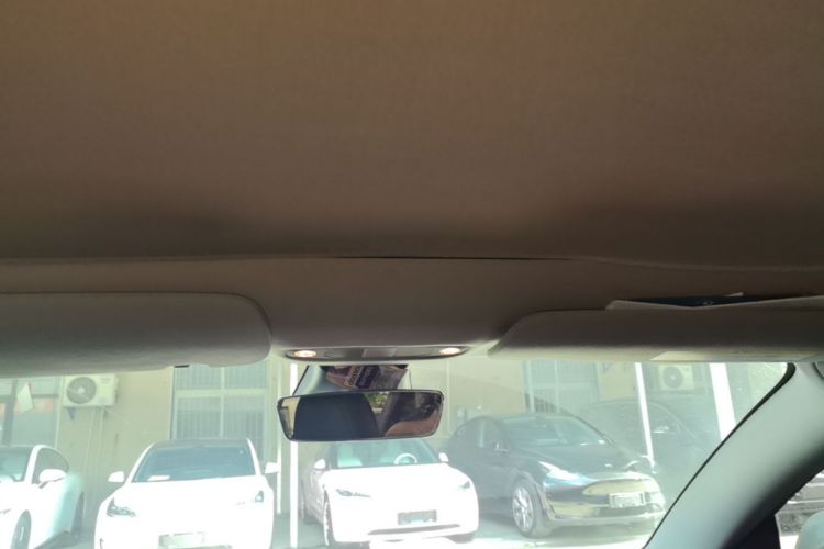 Tesla Model 3 2020 immagine di auto #18
