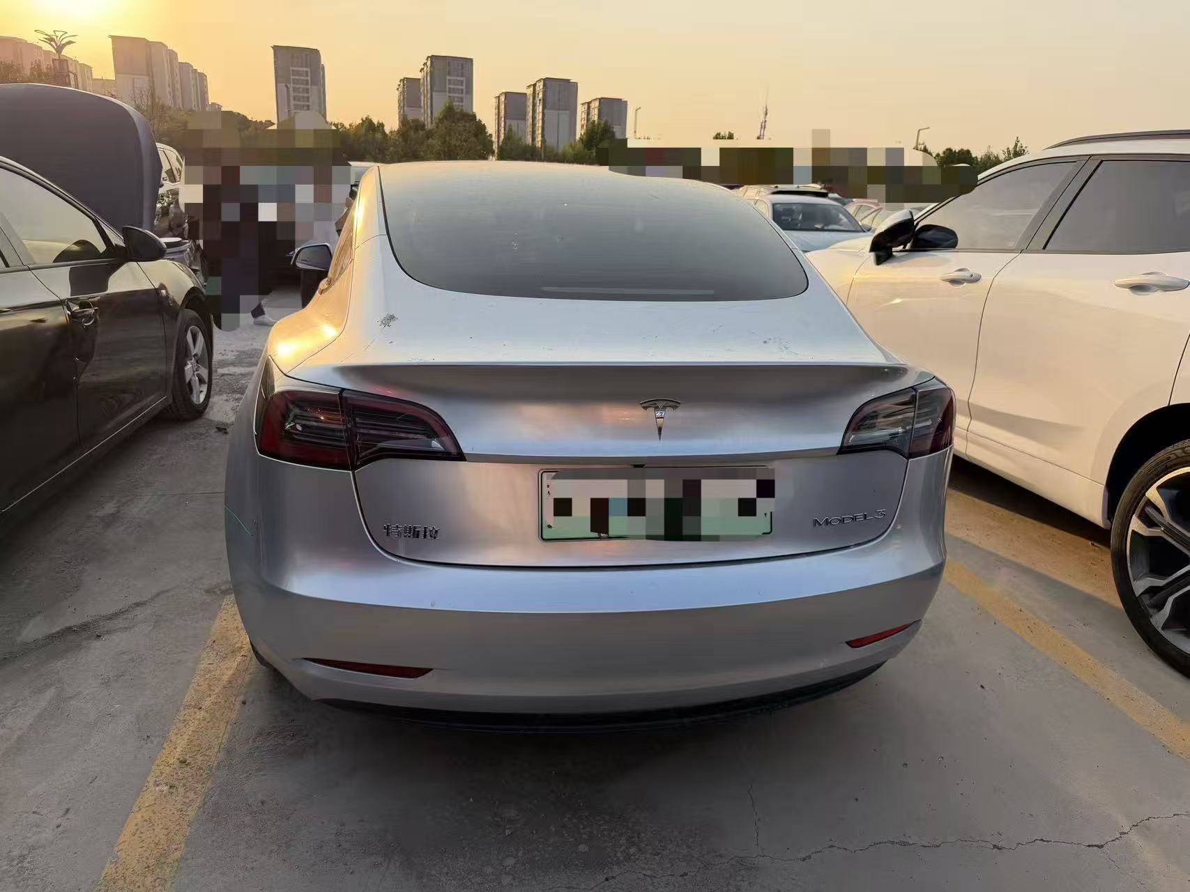 Tesla Model 3 2023 #5 Tesla Model 3 2023 car image #5