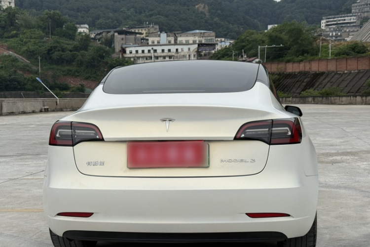 Tesla Model 3 2021 car image #6