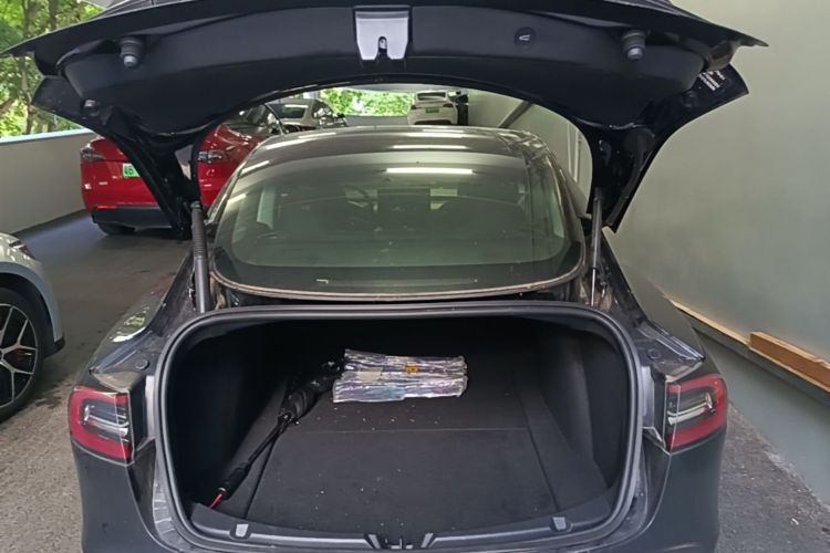 Tesla Model 3 2022 car image #19