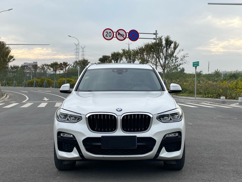 BMW X3 2019 car image 