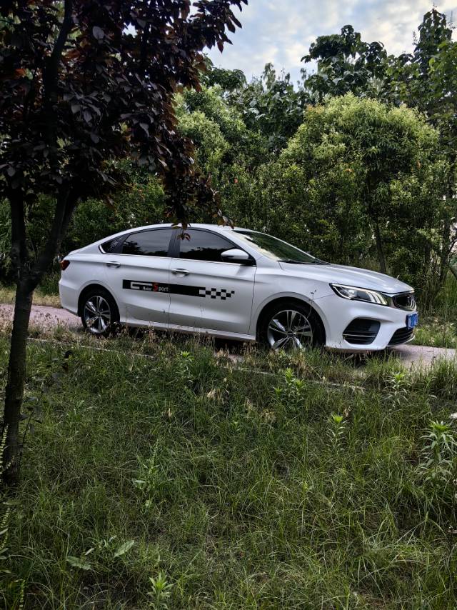 GEELY Binray 2019 image de voiture #6