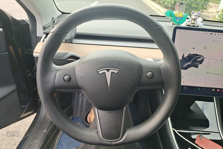 Tesla Model 3 2020 #12 Tesla Model 3 2020 car image #12