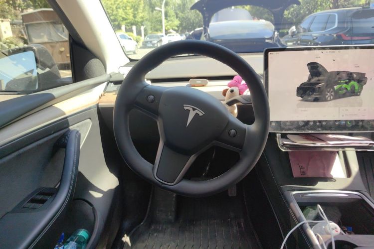 Tesla Model Y 2023 car image #12