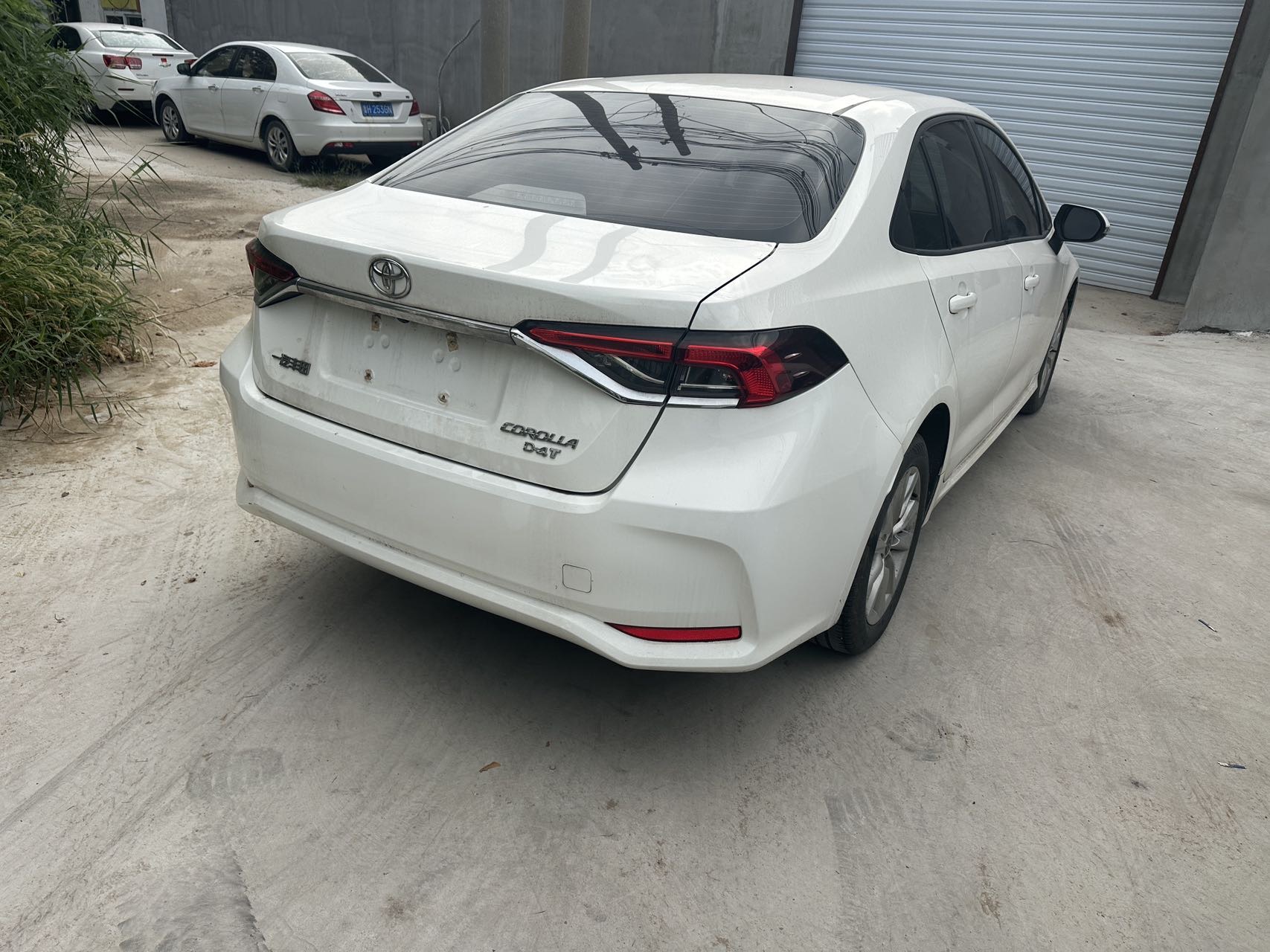 Toyota Corolla 2024 #5 Toyota Corolla 2024 car image #5