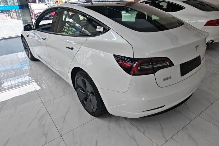 Tesla Model 3 2021 #5 Tesla Model 3 2021 car image #5