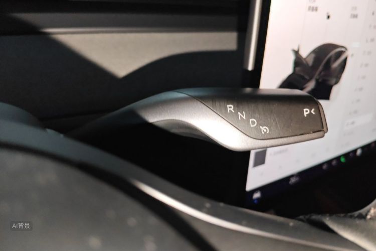 Tesla Model Y 2023 car image #16