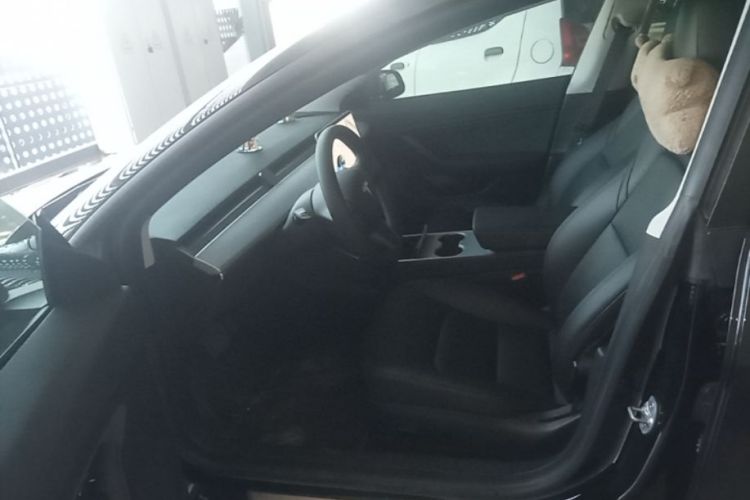 Tesla Model 3 2020 car image #19