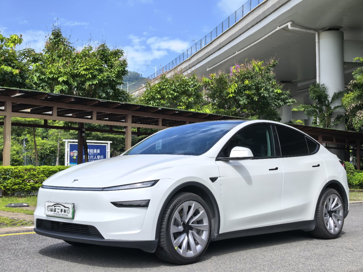 Tesla Model Y 2025 car image 