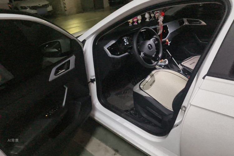 Volkswagen Polo 2021 car image #18
