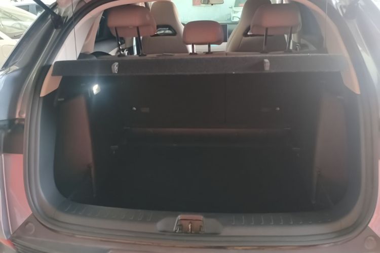BYD Yuan Plus 2023 car image #21