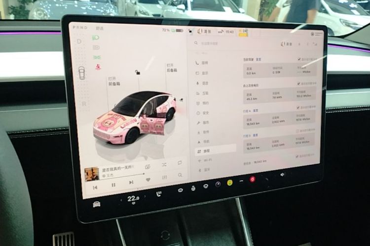 Tesla Model Y 2025 #13 Tesla Model Y 2025 صورة سيارة #13