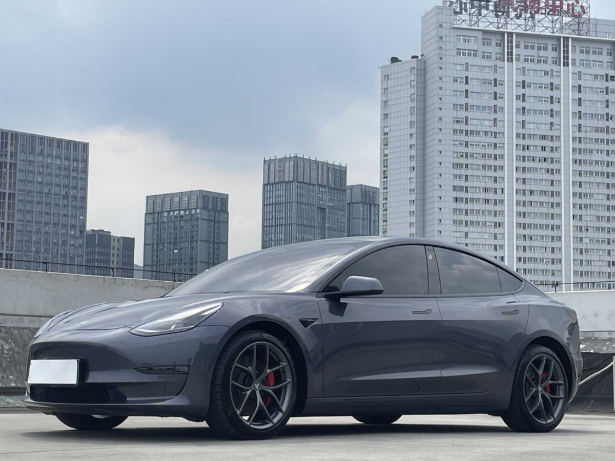 Tesla Model 3 2021 Tesla Model 3 2021 car image