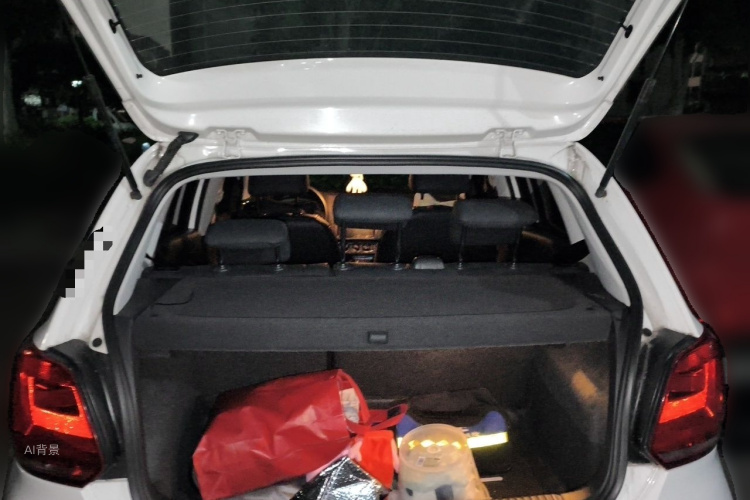 Volkswagen Polo 2016 car image #21