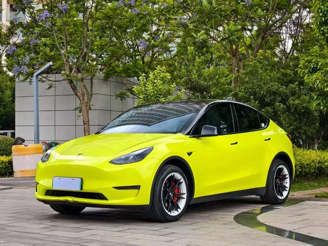 Tesla Model Y 2024 car image #10
