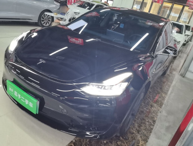 Tesla Model 3 2020 Tesla Model 3 2020 car image