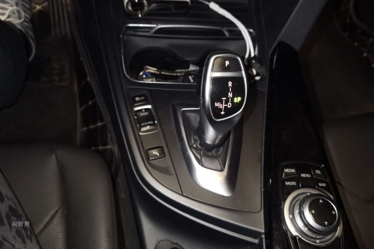 BMW 3 Series 2017 car image #16