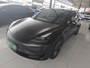 Tesla Model 3 2021 Tesla Model 3 2021 immagine di auto