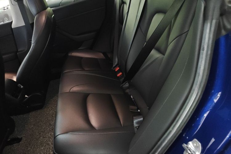 Tesla Model 3 2021 car image #14