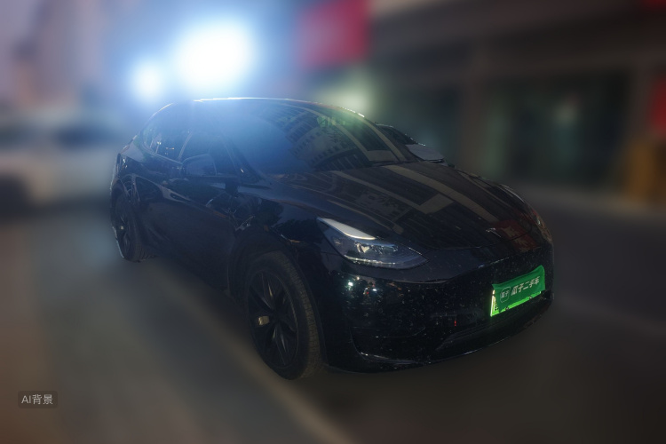 Tesla Model Y 2022 #4 Tesla Model Y 2022 car image #4