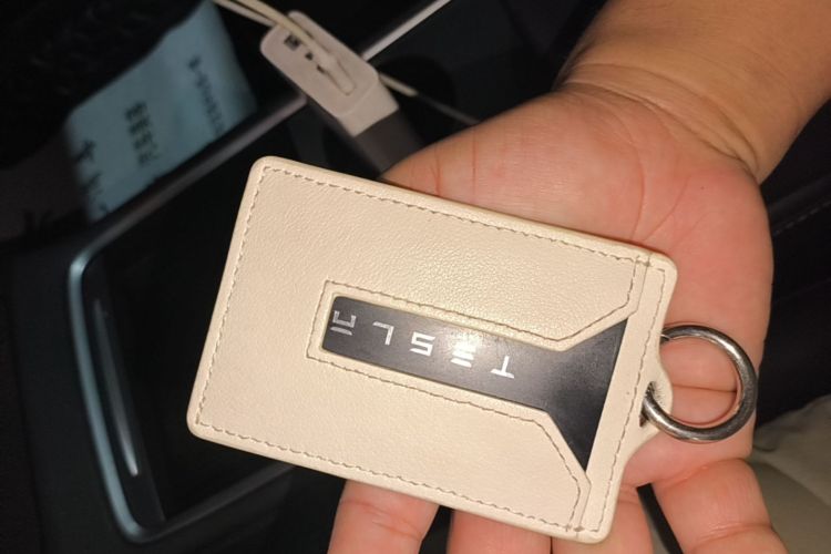 Tesla Model 3 2021 #9 Tesla Model 3 2021 car image #9