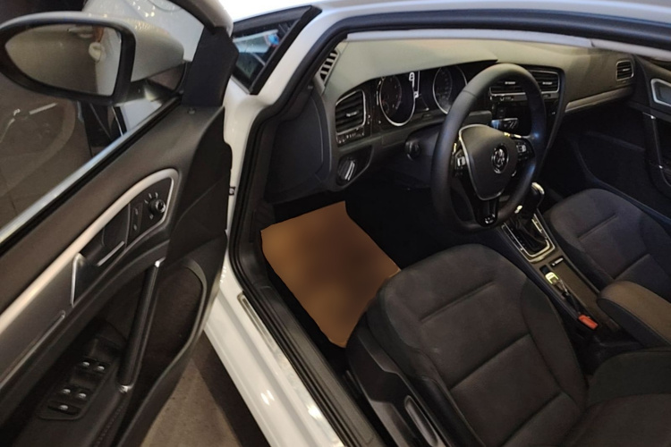 Volkswagen Golf 2019 car image #16