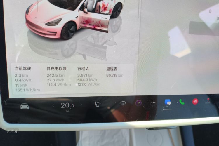 Tesla Model 3 2022 immagine di auto #14