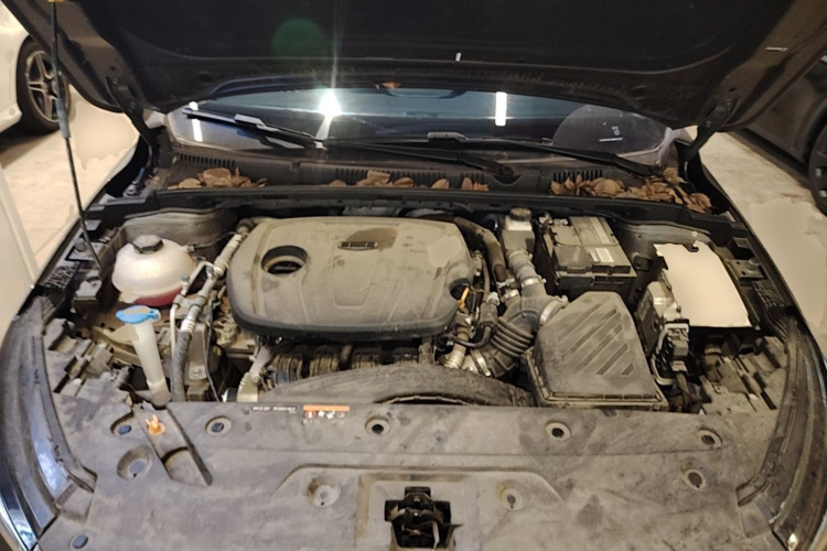 GEELY Emgrand 2024 car image #20
