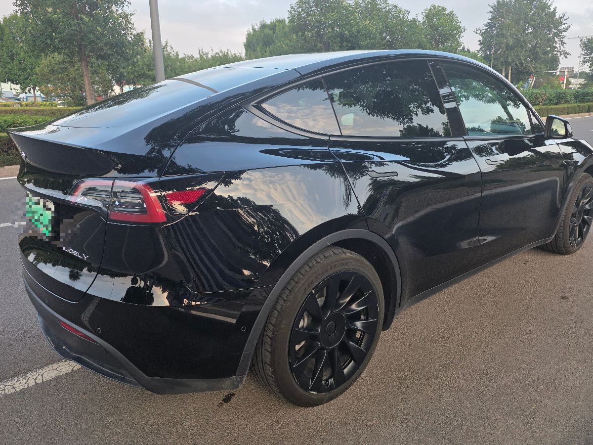 Tesla Model Y 2022 car image #10