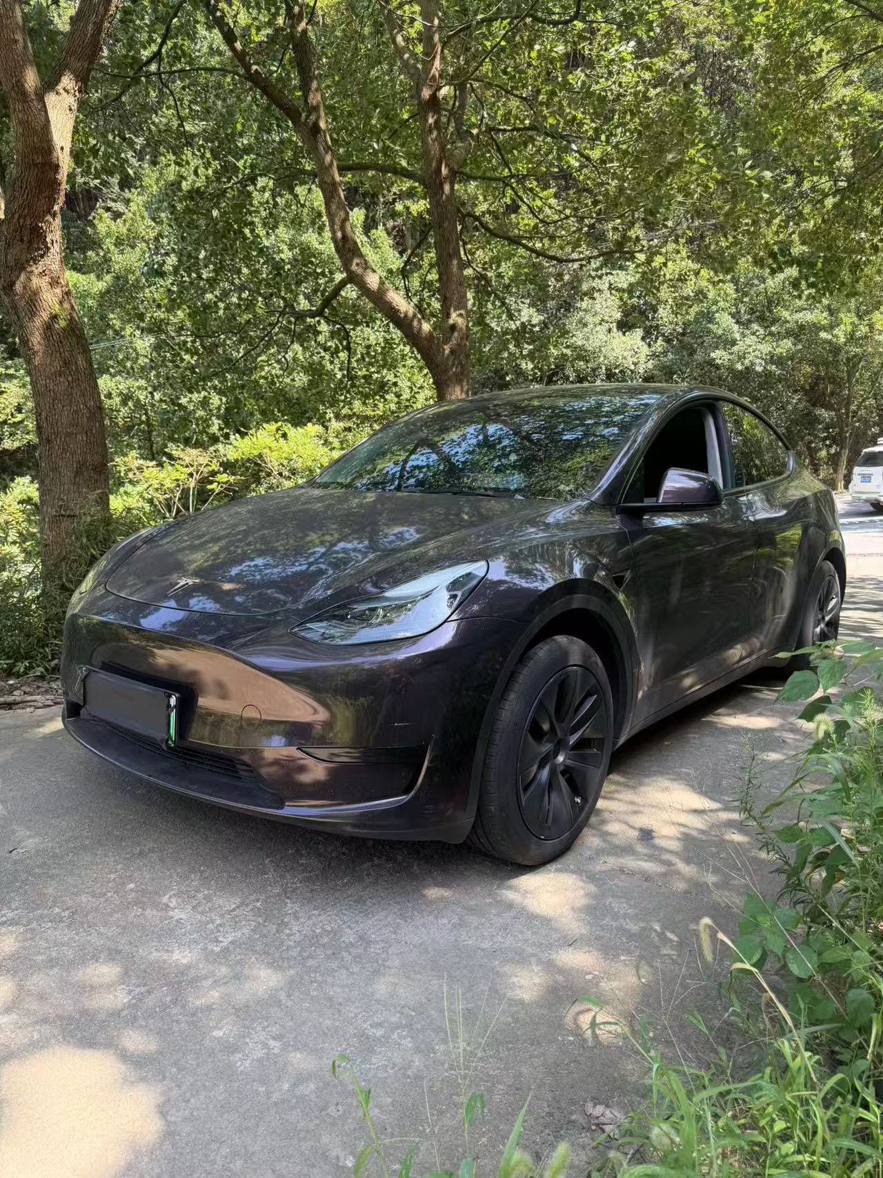 Tesla Model Y 2025 car image 