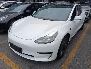 Tesla Model 3 2022 Tesla Model 3 2022 car image