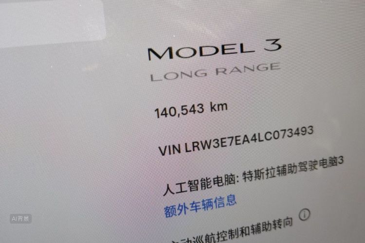 Tesla Model 3 2020 #14 Tesla Model 3 2020 car image #14